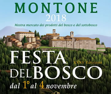 FESTA DEL BOSCO 2018